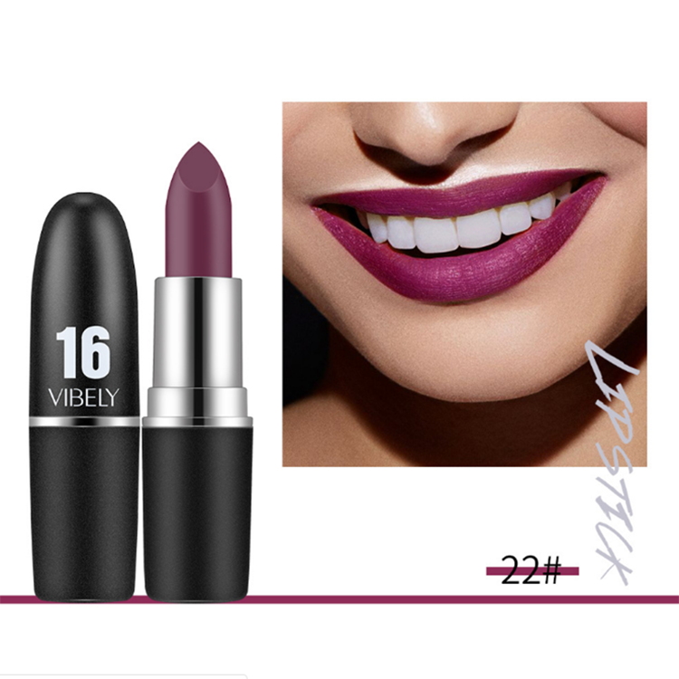 Classic Matte Lipstick Private Label 29 Color Velvet Lipstick