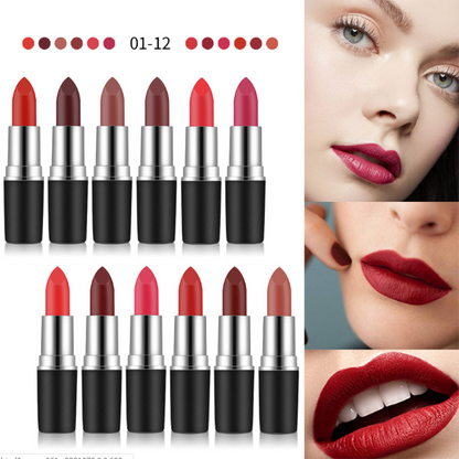 Classic Matte Lipstick Private Label 29 Color Velvet Lipstick