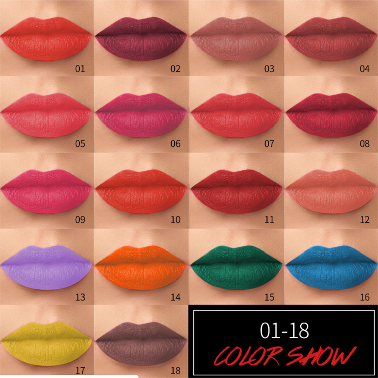 Classic Matte Lipstick Private Label 29 Color Velvet Lipstick