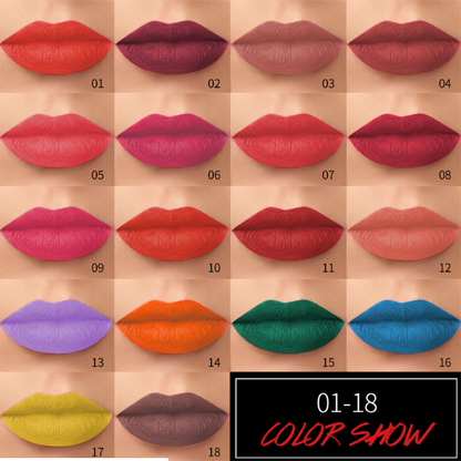 Classic Matte Lipstick Private Label 29 Color Velvet Lipstick