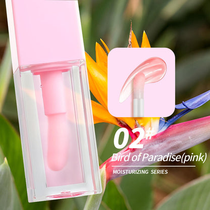 Pink Packaging Lip Oil  Fruit Favor Lip Balm